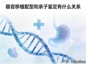器官移植配型和亲子鉴定有什么关系
