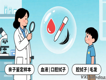 亲子鉴定需要什么样本