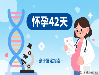 怀孕42天如何做亲子鉴定