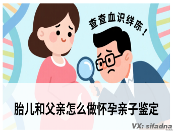 胎儿和父亲怎么做怀孕亲子鉴定