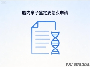 胎内亲子鉴定要怎么申请