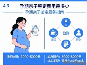 孕期亲子鉴定费用是多少