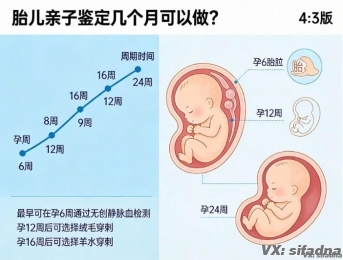 胎儿亲子鉴定几个月可以做？无创采样技术让孕妈更安心