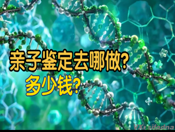 亲子鉴定去哪做多少钱？