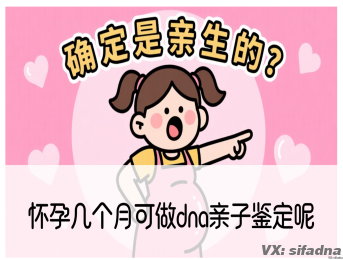怀孕几个月可做dna亲子鉴定呢