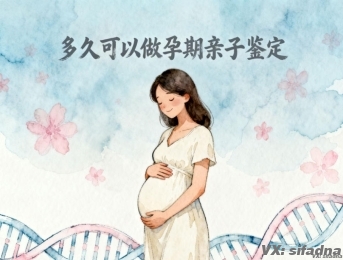 多久可以做孕期亲子鉴定