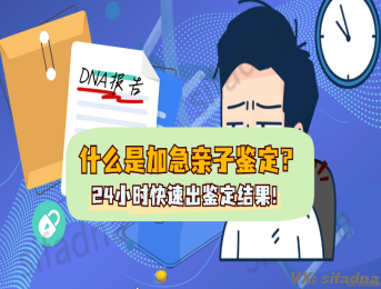 什么是加急亲子鉴定？24小时快速出鉴定结果，是否值得选择？