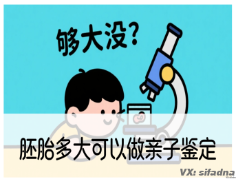 胚胎多大可以做亲子鉴定