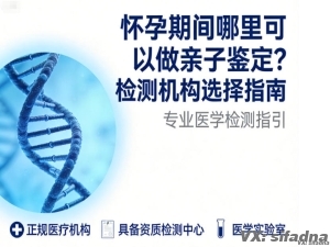 怀孕什么时候可以做亲子鉴定？时间安排指南