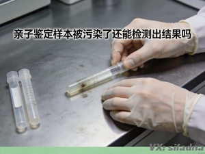 亲子鉴定样本被污染了还能检测出结果吗
