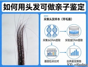 如何用头发可做亲子鉴定
