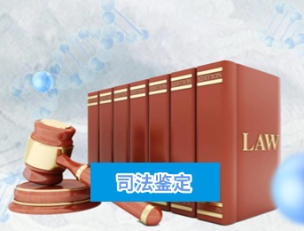 落户亲子鉴定