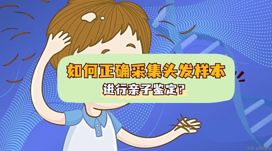 如何正确采集头发样本进行亲子鉴定？