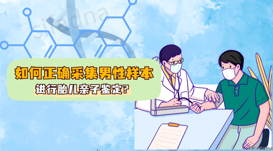 如何正确采集男性样本进行胎儿亲子鉴定？