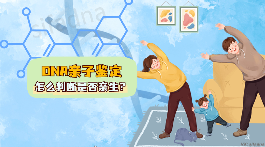 DNA亲子鉴定怎么判断是否亲生？