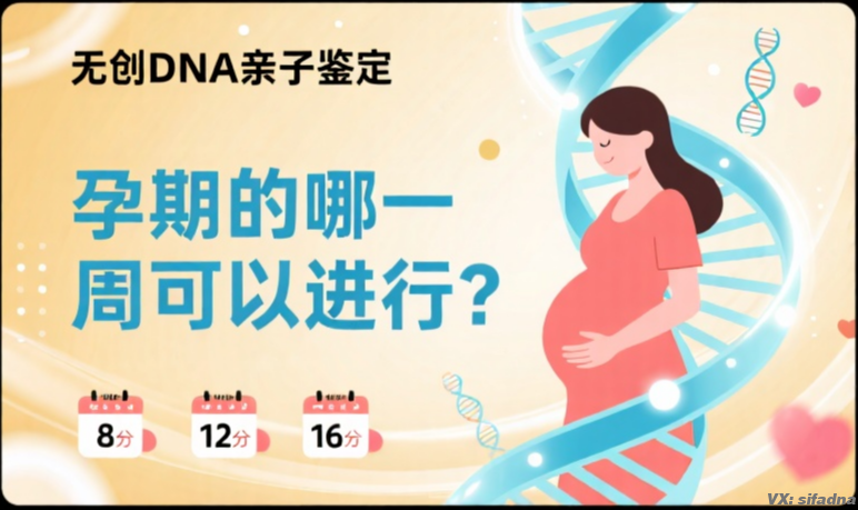 无创DNA亲子鉴定在孕期的哪一周可以进行
