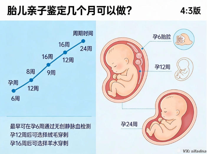 胎儿亲子鉴定几个月可以做？无创采样技术让孕妈更安心