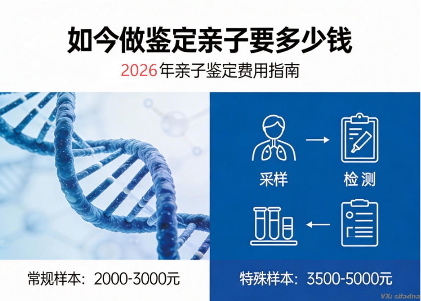 如今做鉴定亲子要多少钱