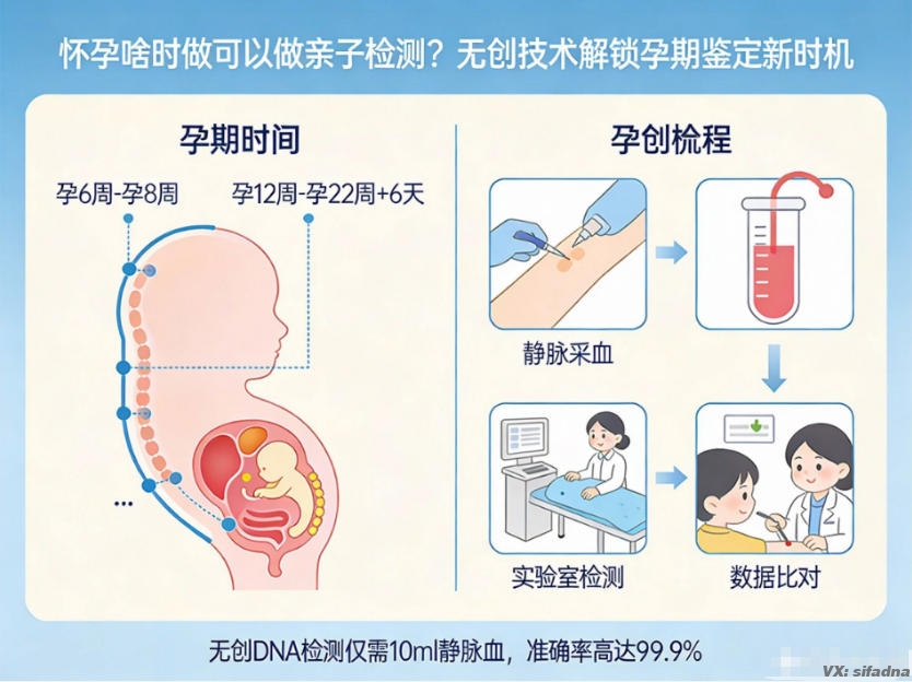 怀孕啥时做可以做亲子检测？无创技术解锁孕期鉴定新时机
