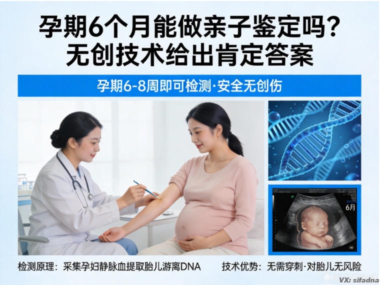 孕期6个月能做亲子鉴定吗？无创技术给出肯定答案