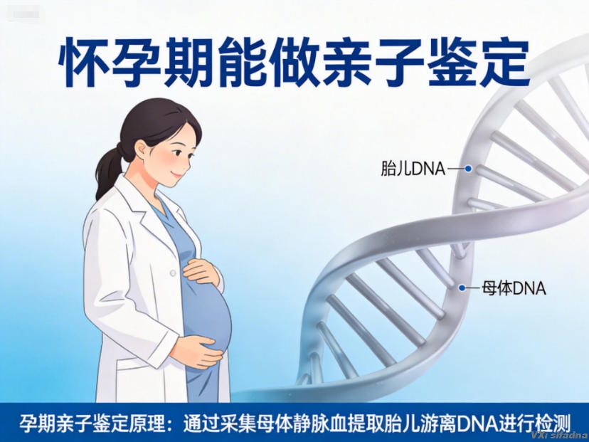 怀孕期能做亲子鉴定 怀孕期能做亲子鉴定
