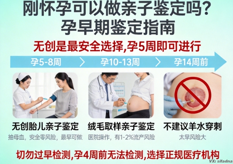 刚怀孕可以做亲子鉴定吗?孕早期鉴定指南 刚怀孕可以做亲子鉴定吗?孕早期鉴定指南