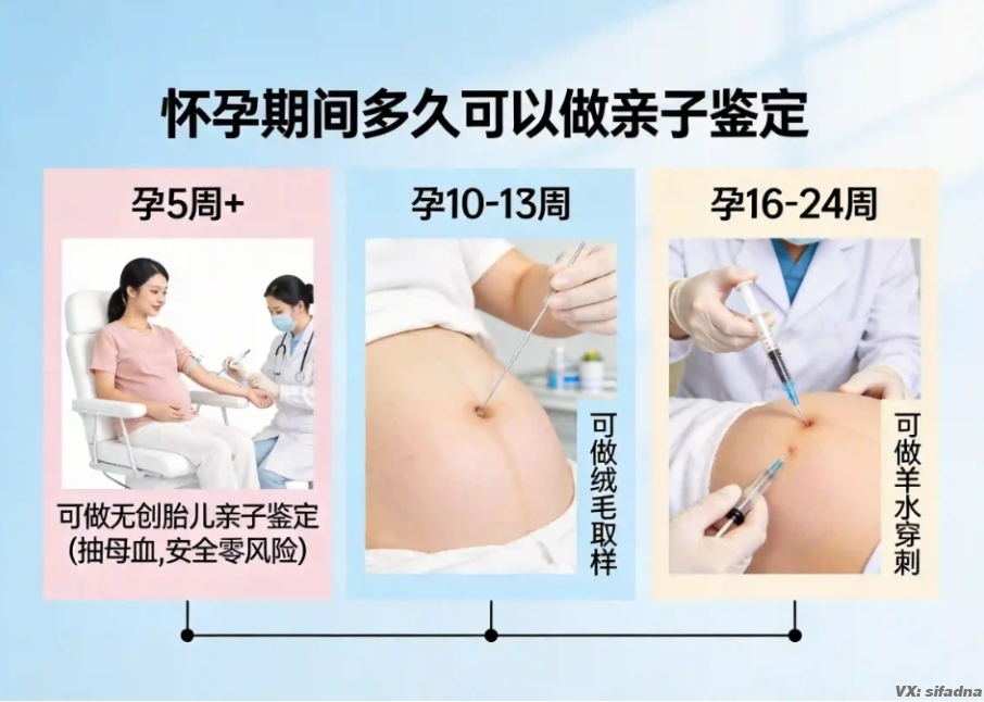 怀孕期间多久可以做亲子鉴定 怀孕期间多久可以做亲子鉴定