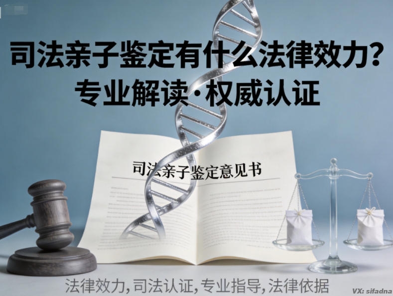 司法亲子鉴定有什么法律效力？