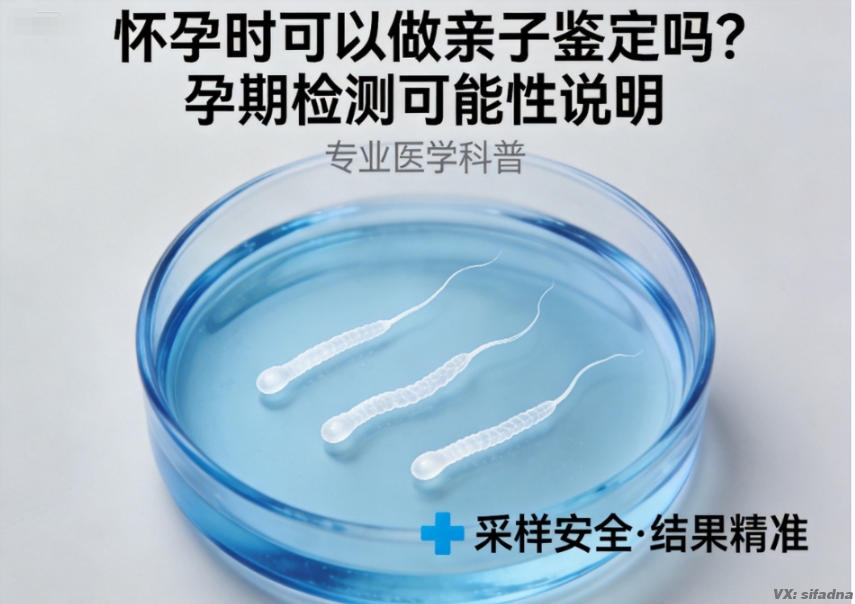 怀孕时可以做亲子鉴定吗？孕期检测可能性说明