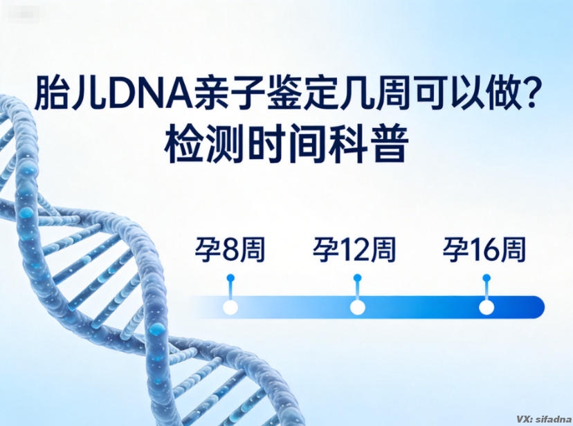 胎儿DNA亲子鉴定几周可以做？检测时间科普