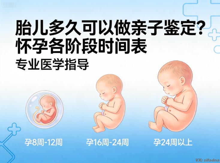 胎儿多久可以做亲子鉴定?怀孕各阶段时间表 胎儿多久可以做亲子鉴定?怀孕各阶段时间表