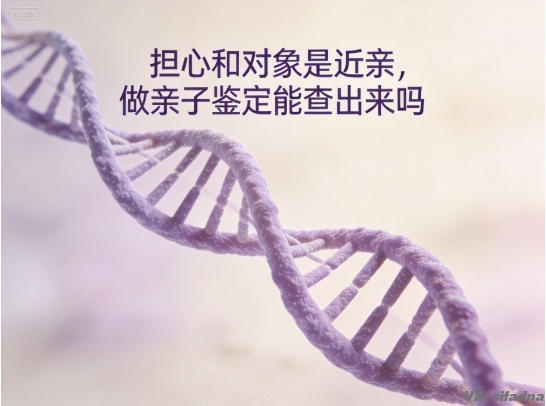 担心和对象是近亲,做亲子鉴定能查出来吗 担心和对象是近亲,做亲子鉴定能查出来吗